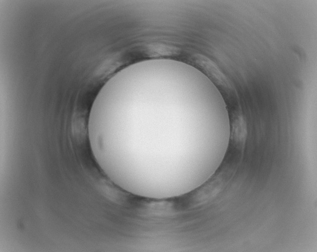 X0000115660426200911251713