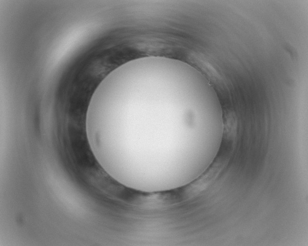 X0000115660430200911251713