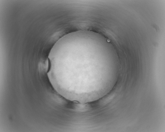 X0000115660432200911251713