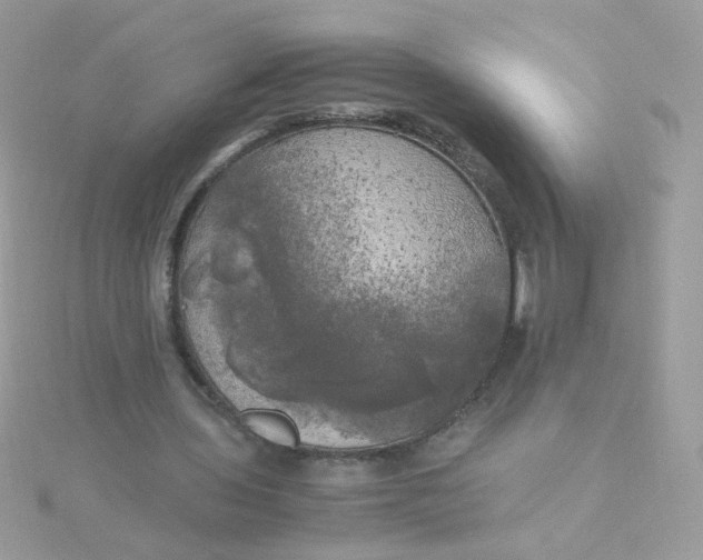 X0000115660435200911251713