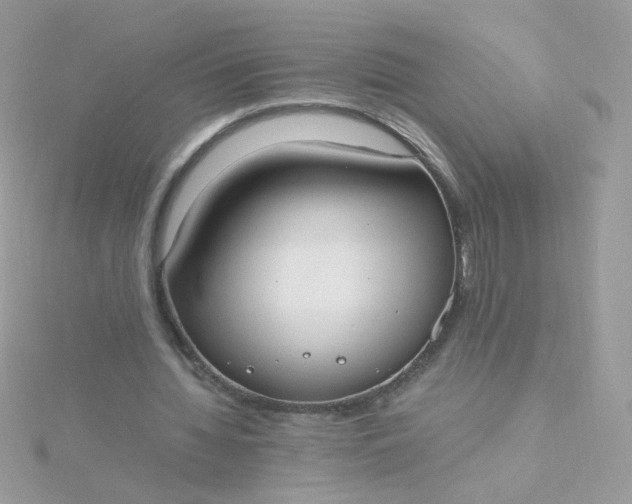 X0000115660436200911251713
