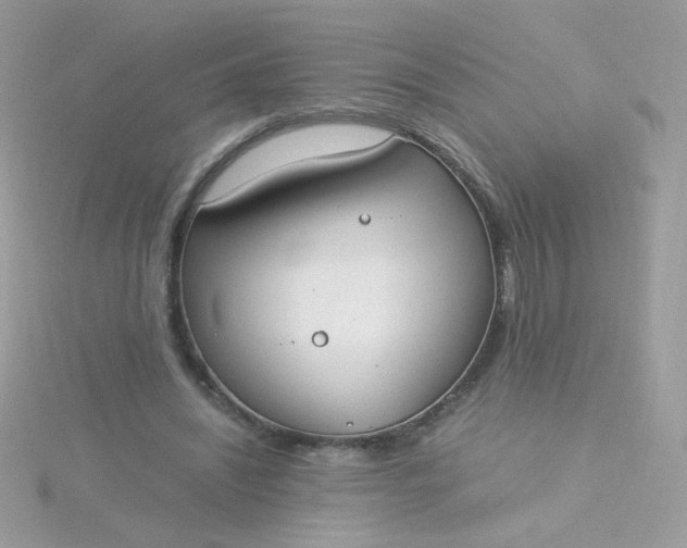 X0000115660444200911251713