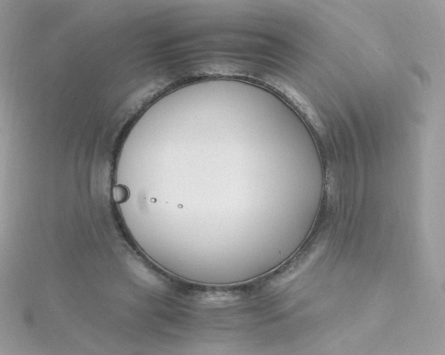 X0000115660445200911251713