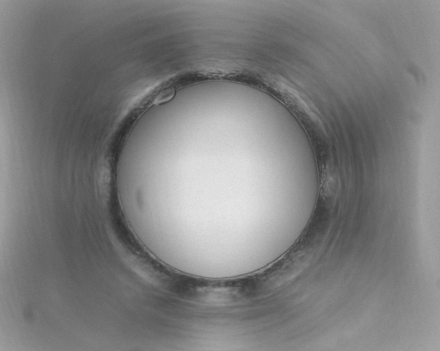 X0000115660448200911251713