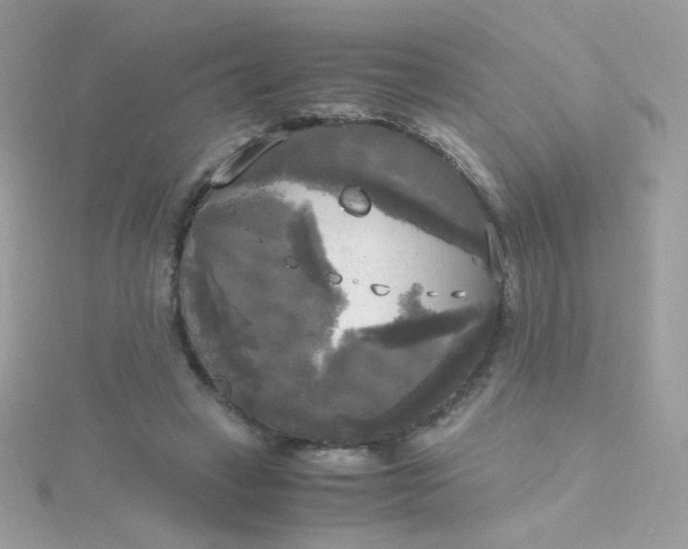 X0000115660449200911251713
