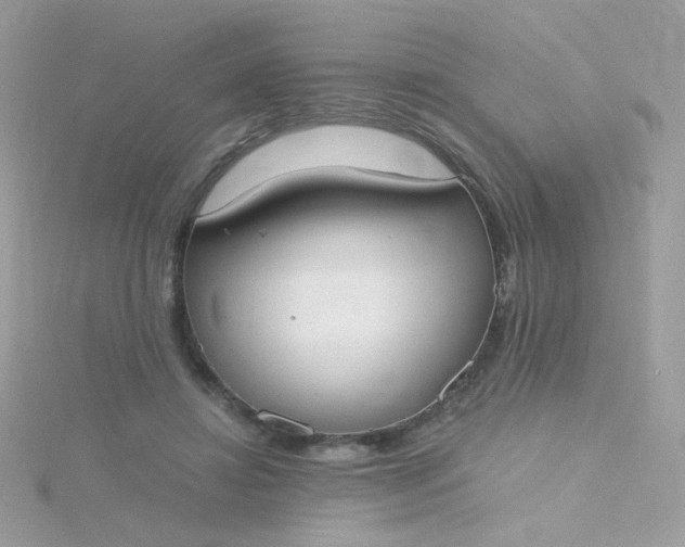 X0000115660452200911251713
