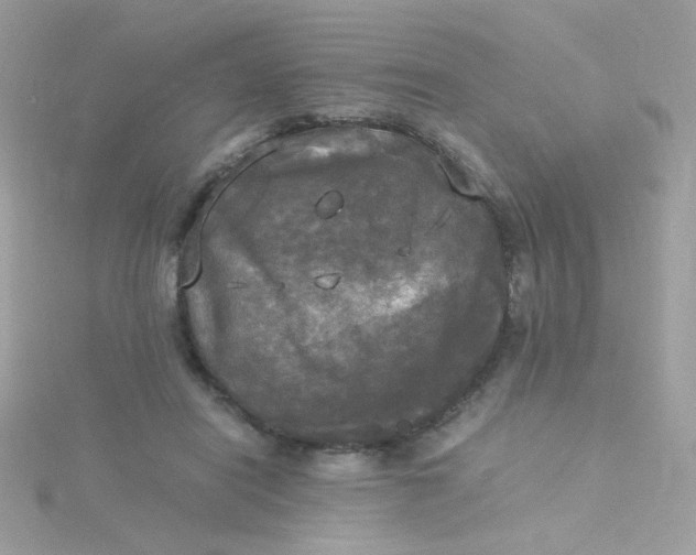X0000115660454200911251713