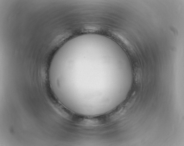 X0000115660455200911251713