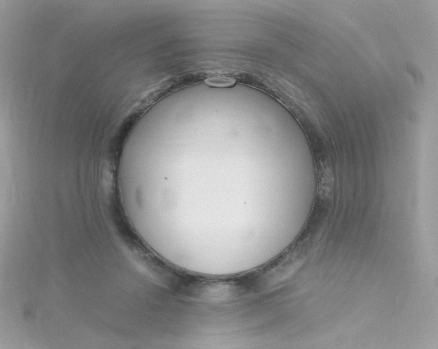 X0000115660456200911251713