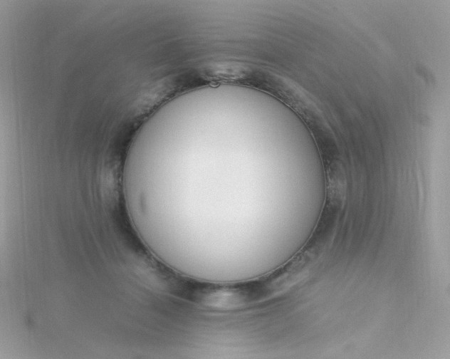X0000115660460200911251713
