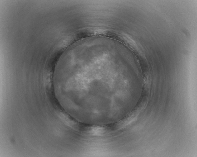 X0000115660462200911251713