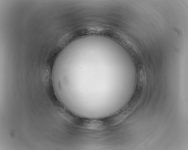 X0000115660463200911251713