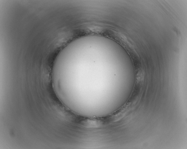 X0000115660464200911251713