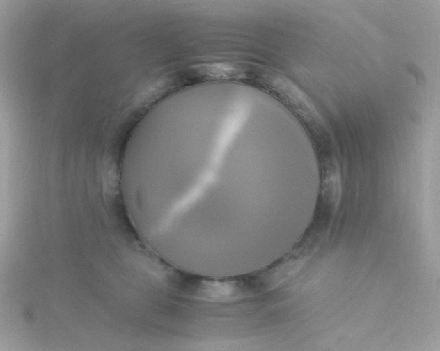 X0000115660469200911251713