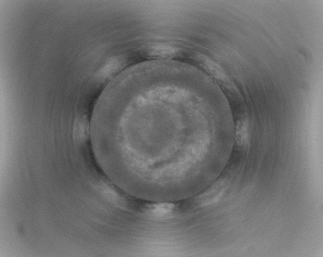 X0000115660474200911251713