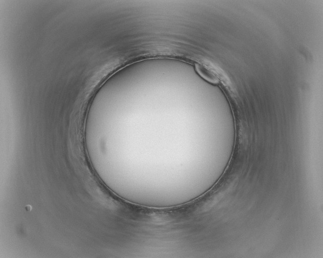 X0000115660481200911251713