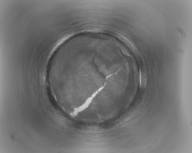 X0000115660483200911251713