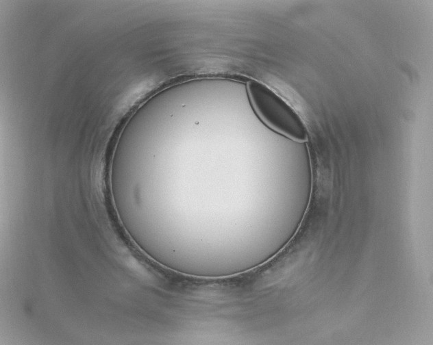 X0000115660485200911251713