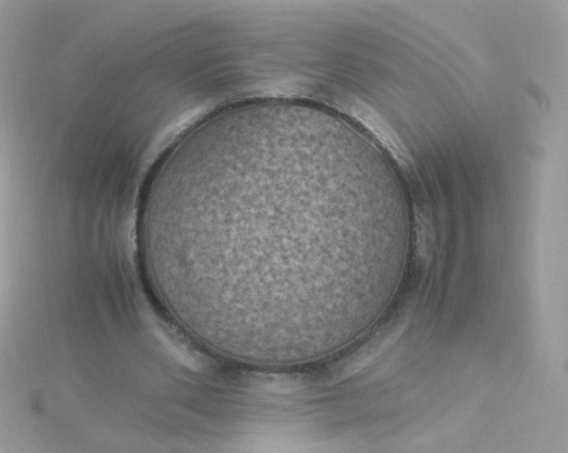 X0000115660486200911251713
