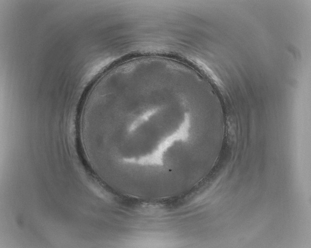 X0000115660487200911251713