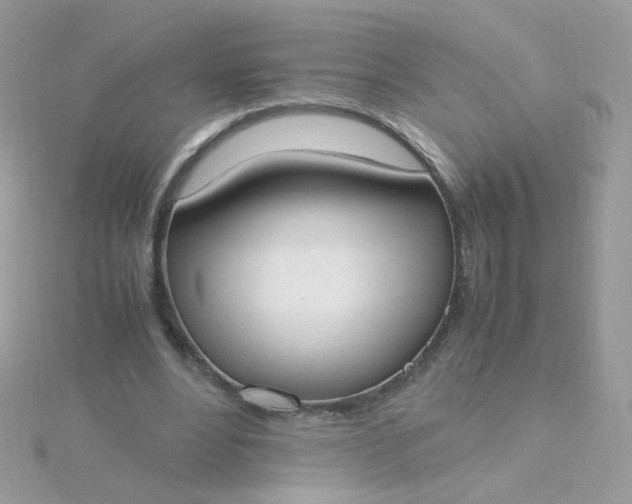 X0000115660488200911251712