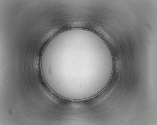X0000115660490200911251712