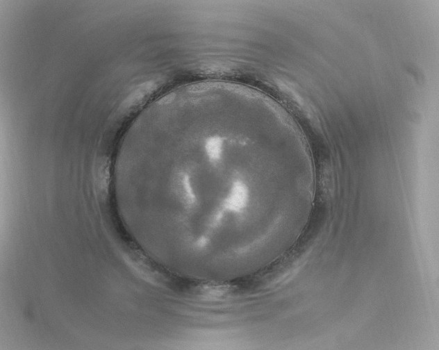 X0000115660495200911251712