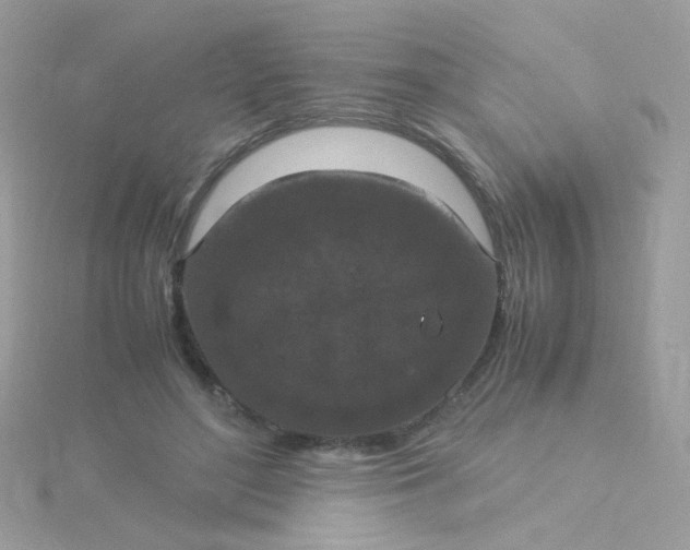 X0000115660500200911251712