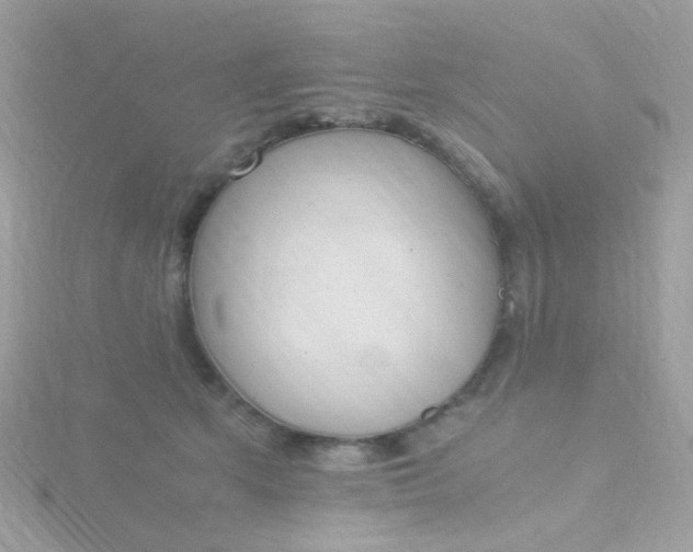 X0000115660513200911251712