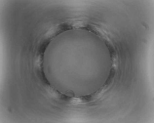 X0000115660519200911251712
