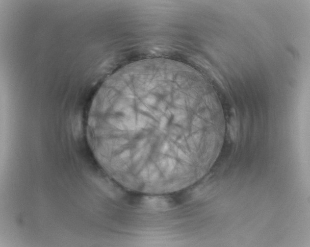 X0000115660520200911251712
