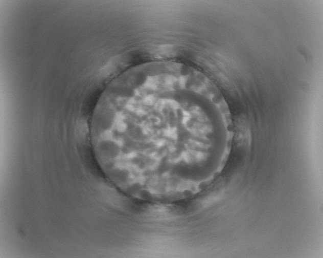X0000115660523200911251712