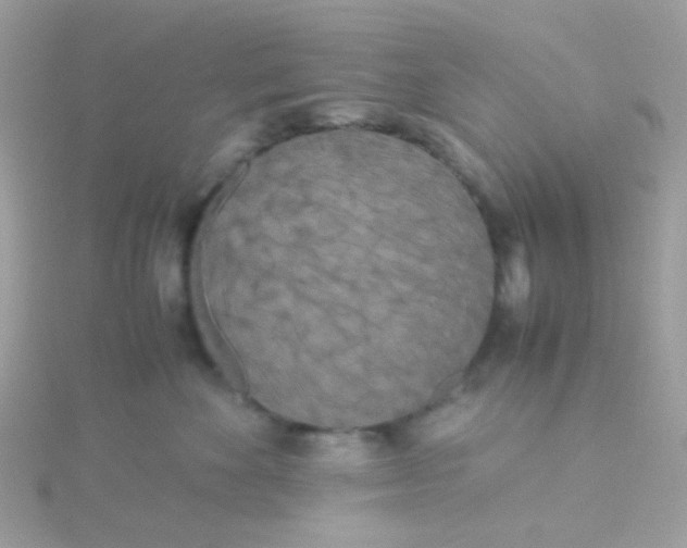 X0000115660524200911251712
