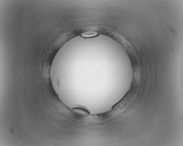X0000115660525200911251712