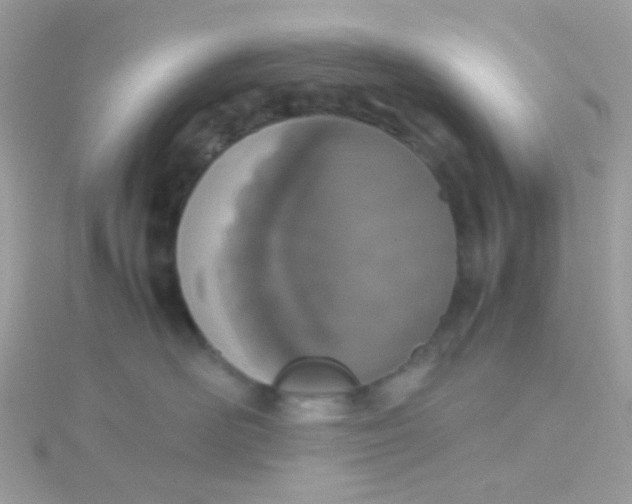 X0000115660526200911251712
