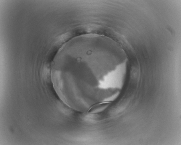 X0000115660527200911251712