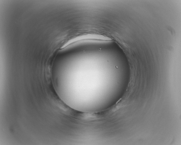 X0000115660528200911251712