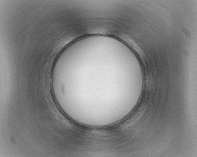 X0000115660529200911251711