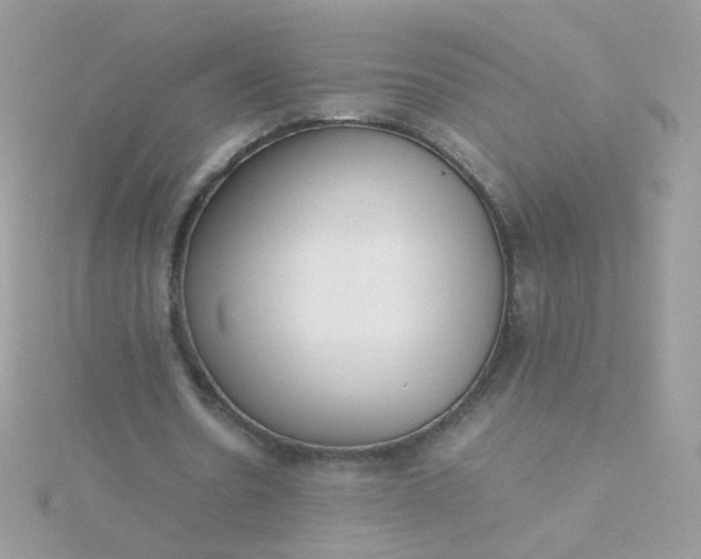 X0000115660530200911251711