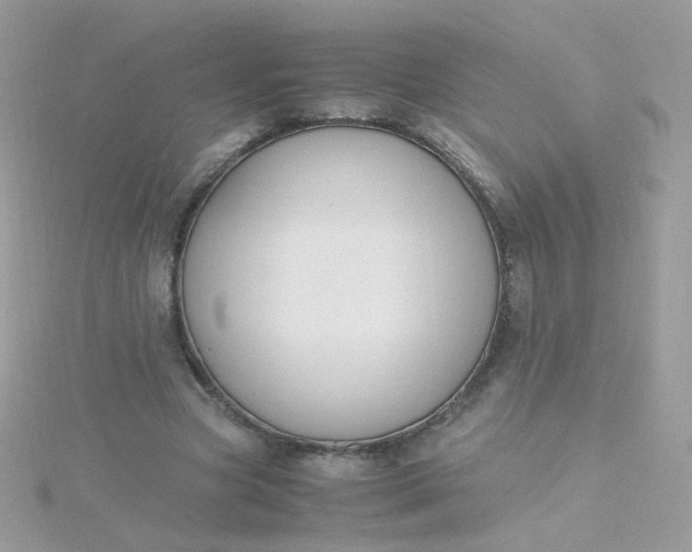 X0000115660537200911251711