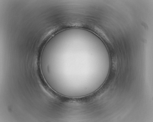 X0000115660538200911251711