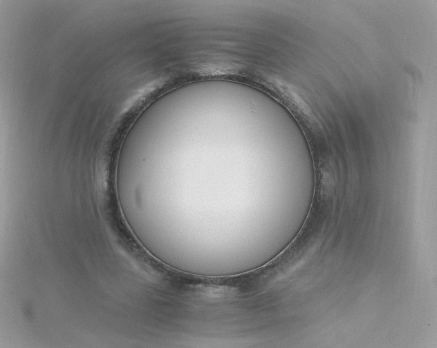 X0000115660539200911251711