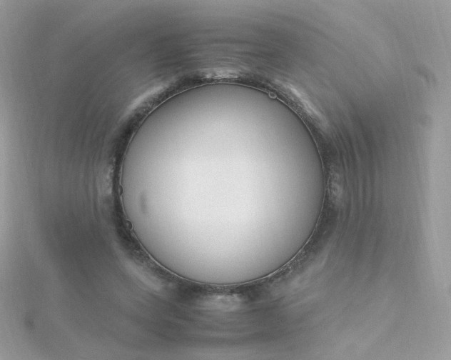 X0000115660543200911251712