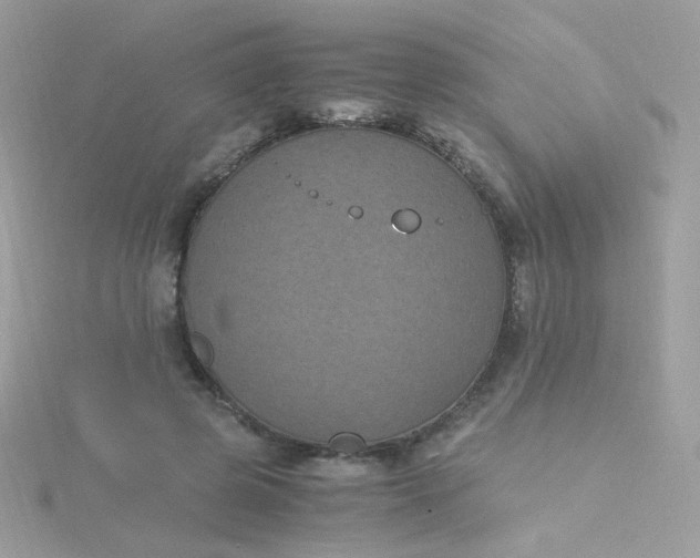 X0000115660545200911251712