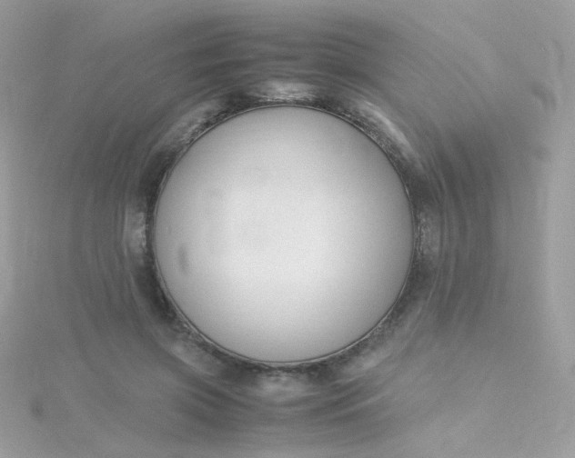 X0000115660549200911251712
