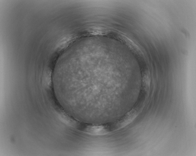 X0000115660554200911251712