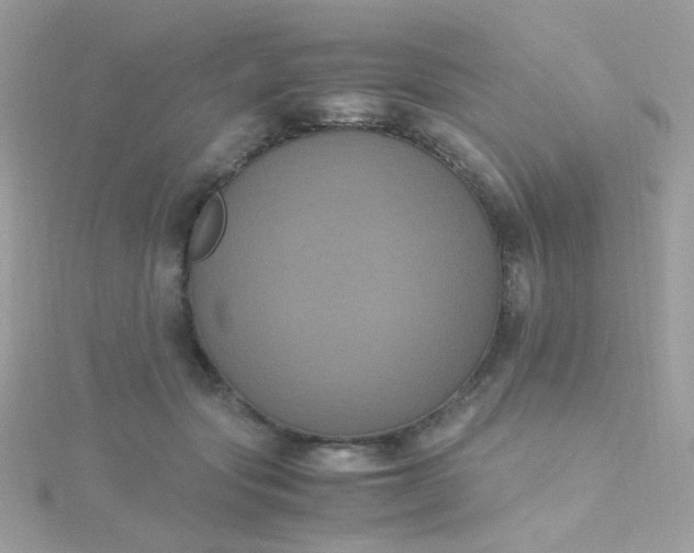 X0000115660557200911251712