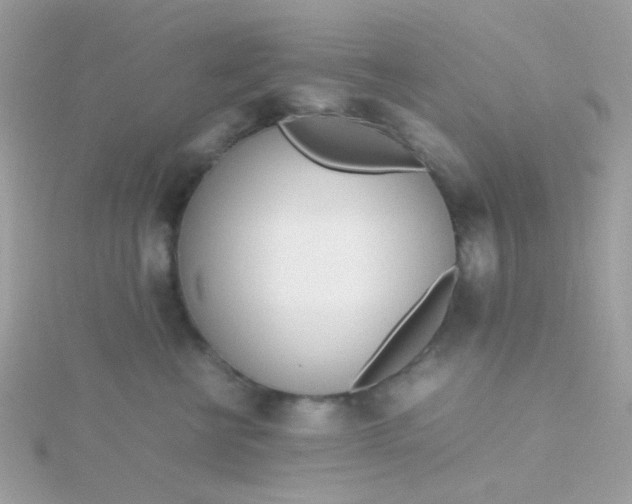 X0000115660570200911251712