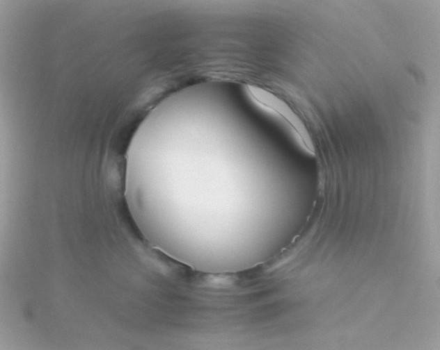 X0000115660573200911251712