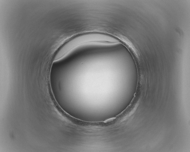 X0000115660577200911251711